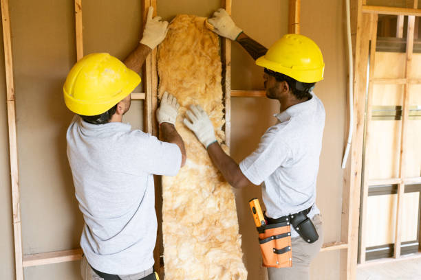 Best Blown-in Insulation  in Evansville, WY